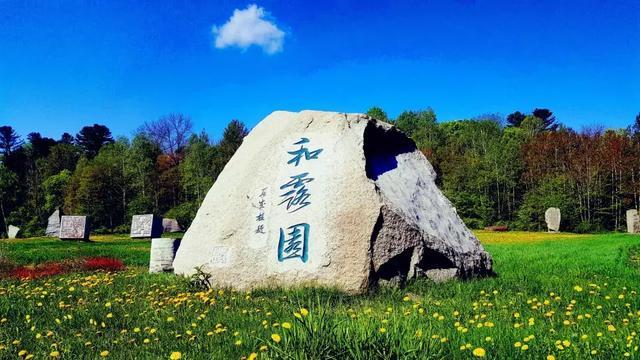 脑洞小老弟无实名认证